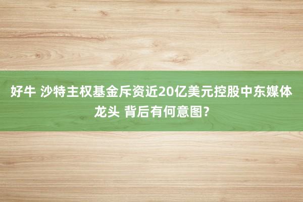 好牛 沙特主权基金斥资近20亿美元控股中东媒体龙头 背后有何意图？
