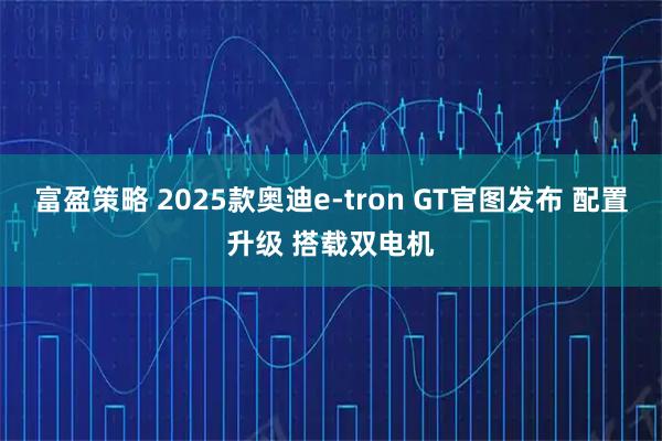 富盈策略 2025款奥迪e-tron GT官图发布 配置升级 搭载双电机