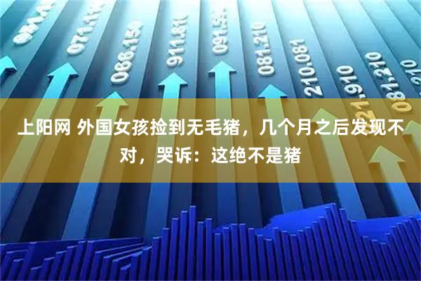 上阳网 外国女孩捡到无毛猪，几个月之后发现不对，哭诉：这绝不是猪