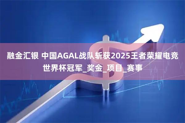 融金汇银 中国AGAL战队斩获2025王者荣耀电竞世界杯冠军_奖金_项目_赛事